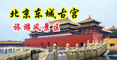 男生狂捅女生鸡鸡网站免费中国北京-东城古宫旅游风景区